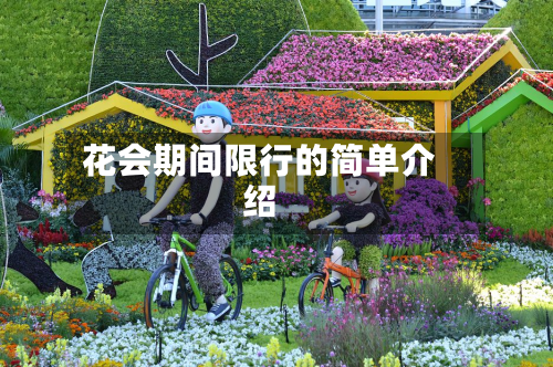 花会期间限行的简单介绍