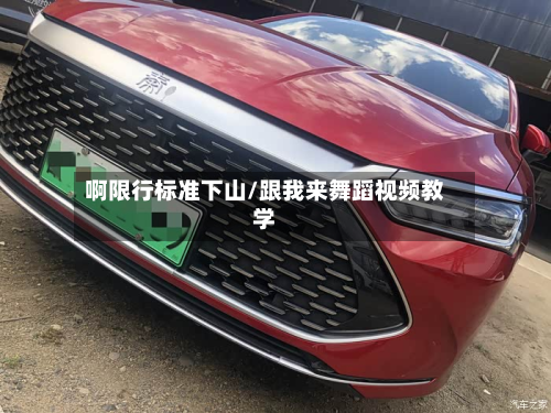 啊限行标准下山/跟我来舞蹈视频教学-第2张图片