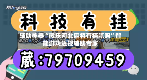 辅助神器“微乐河北麻将有猫腻吗”智能游戏透视辅助专家-第2张图片