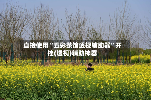 直接使用“五彩茶馆透视辅助器”开挂(透视)辅助神器-第2张图片
