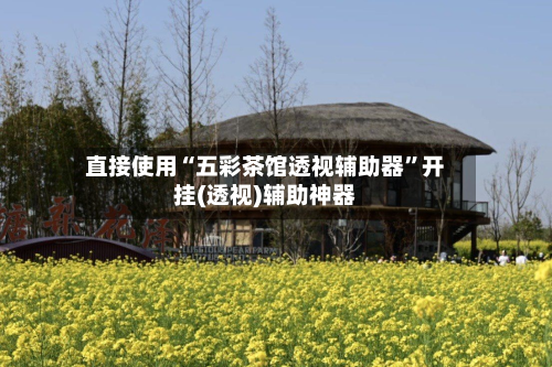 直接使用“五彩茶馆透视辅助器”开挂(透视)辅助神器-第3张图片