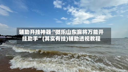 辅助开挂神器“微乐山东麻将万能开挂助手”(其实有挂)辅助透视教程-第2张图片
