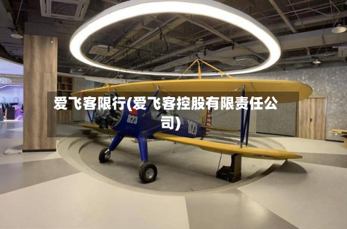 爱飞客限行(爱飞客控股有限责任公司)