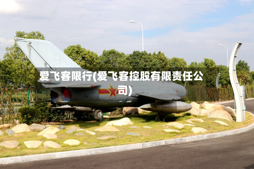 爱飞客限行(爱飞客控股有限责任公司)-第2张图片