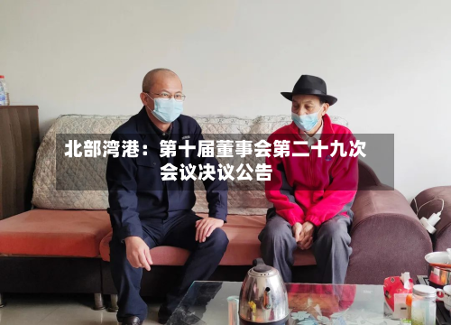 北部湾港:第十届董事会第二十九次会议决议公告