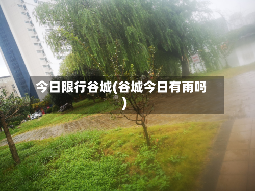 今日限行谷城(谷城今日有雨吗)