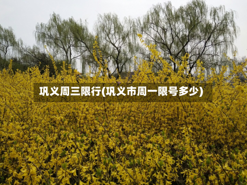 巩义周三限行(巩义市周一限号多少)