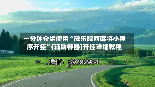 一分钟介绍使用“微乐陕西麻将小程序开挂”(辅助神器)开挂详细教程-第2张图片