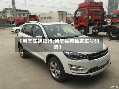 【利辛车辆限行,利辛县有私家车号码吗】-第3张图片