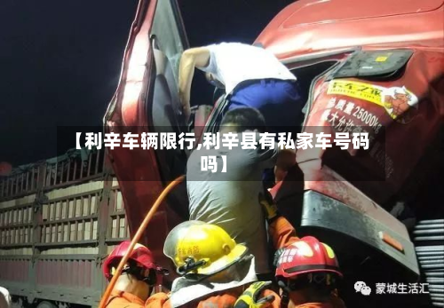 【利辛车辆限行,利辛县有私家车号码吗】-第2张图片