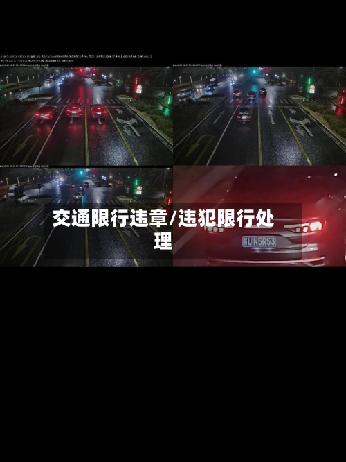 交通限行违章/违犯限行处理