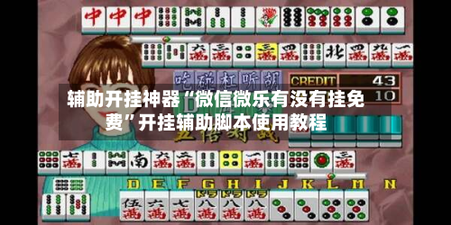 辅助开挂神器“微信微乐有没有挂免费”开挂辅助脚本使用教程
