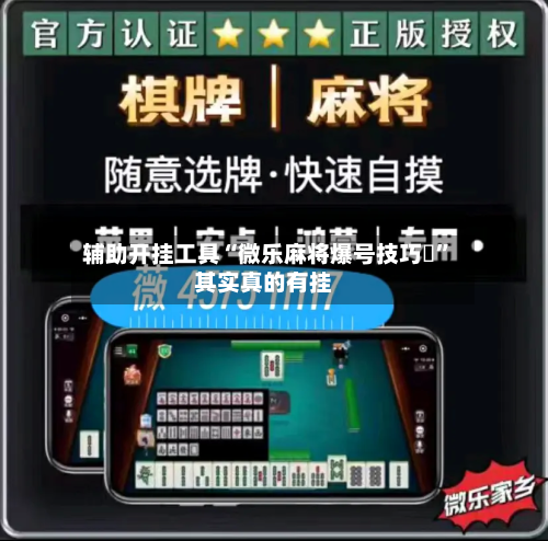 辅助开挂工具“微乐麻将爆号技巧	”其实真的有挂