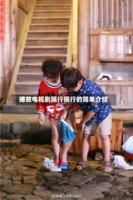 播放电视剧限行限行的简单介绍
