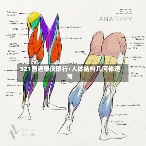 321国道肇庆限行/人体结构几何体速写