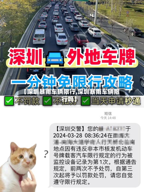 【深圳暴雨车辆限行,深圳暴雨车辆限行吗】