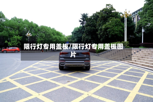 限行灯专用盖板/限行灯专用盖板图片-第2张图片