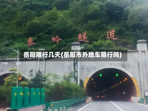 岳阳限行几天(岳阳市外地车限行吗)