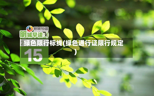 绿色限行标线(绿色通行证限行规定)-第3张图片