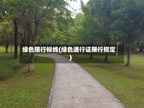 绿色限行标线(绿色通行证限行规定)-第2张图片