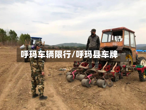 呼玛车辆限行/呼玛县车牌-第2张图片