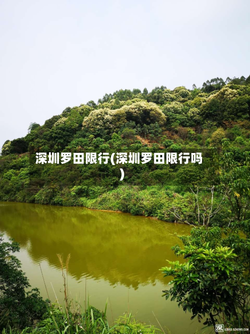 深圳罗田限行(深圳罗田限行吗)