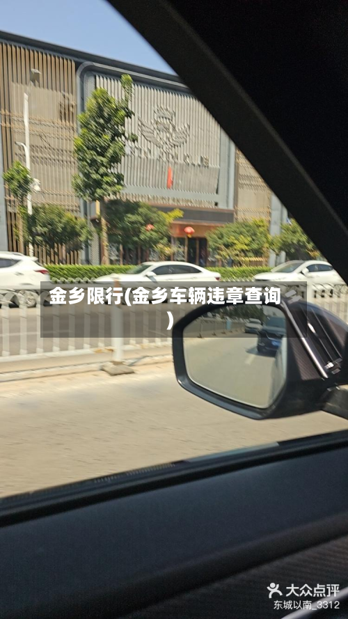 金乡限行(金乡车辆违章查询)-第2张图片