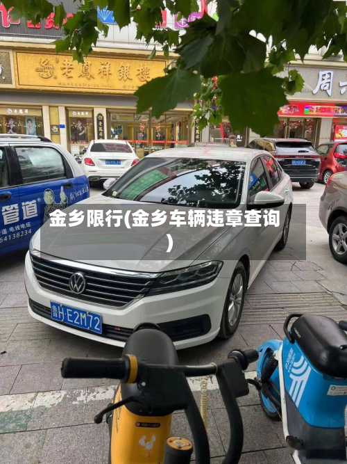 金乡限行(金乡车辆违章查询)