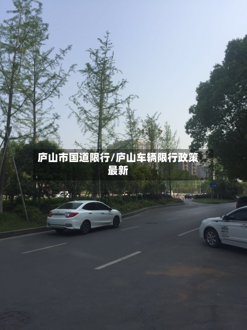 庐山市国道限行/庐山车辆限行政策最新-第3张图片