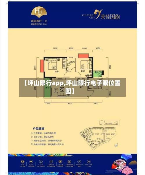 【坪山限行app,坪山限行电子眼位置图】