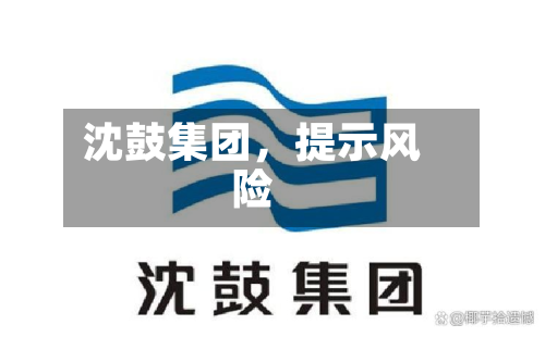 沈鼓集团，提示风险-第2张图片