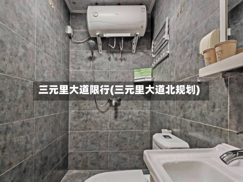 三元里大道限行(三元里大道北规划)