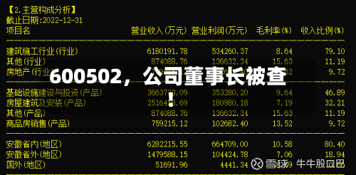 600502,公司董事长被查!