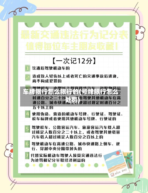 车牌限行怎么限行的(号牌限行怎么处罚)
