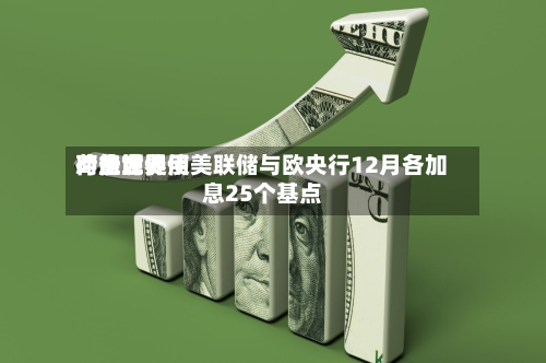 荷兰世界
:能源费用
冲击或促使美联储与欧央行12月各加息25个基点-第2张图片
