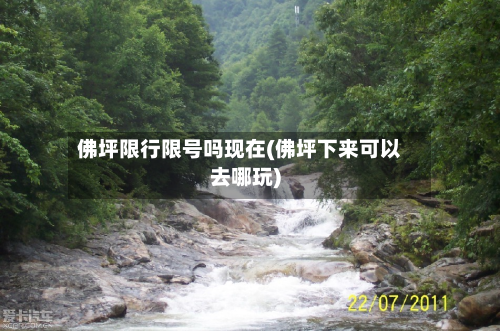 佛坪限行限号吗现在(佛坪下来可以去哪玩)