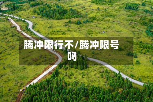 腾冲限行不/腾冲限号吗-第2张图片