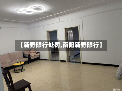【新野限行处罚,南阳新野限行】