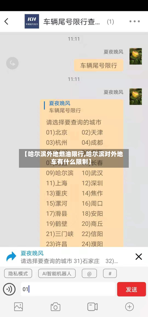 【哈尔滨外地燃油限行,哈尔滨对外地车有什么限制】