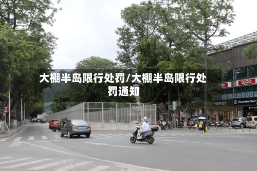 大棚半岛限行处罚/大棚半岛限行处罚通知