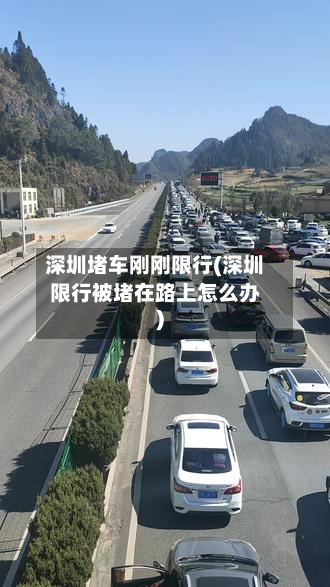 深圳堵车刚刚限行(深圳限行被堵在路上怎么办)-第2张图片
