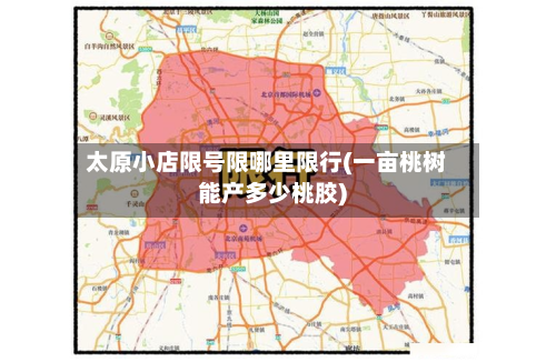 太原小店限号限哪里限行(一亩桃树能产多少桃胶)-第2张图片
