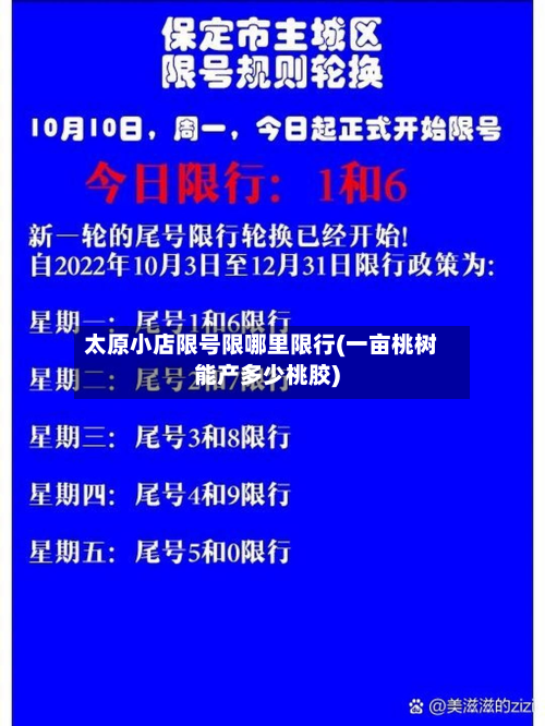太原小店限号限哪里限行(一亩桃树能产多少桃胶)