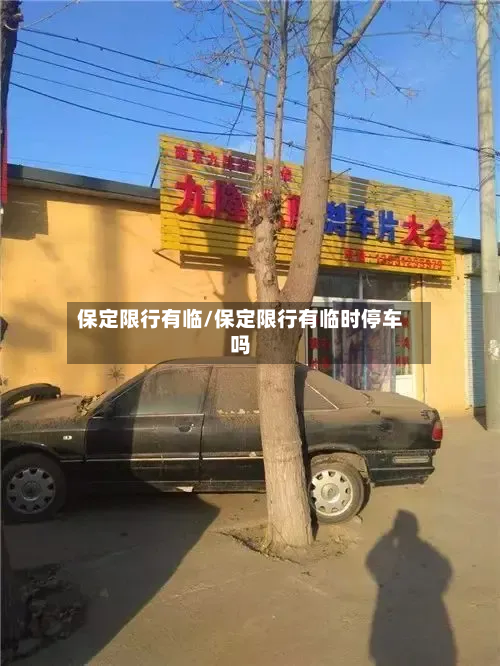 保定限行有临/保定限行有临时停车吗-第2张图片