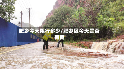 肥乡今天限行多少/肥乡区今天是否有雨