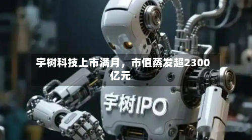 宇树科技上市满月，市值蒸发超2300亿元