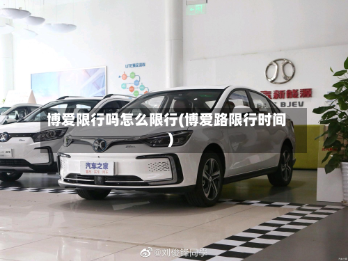 博爱限行吗怎么限行(博爱路限行时间)-第2张图片