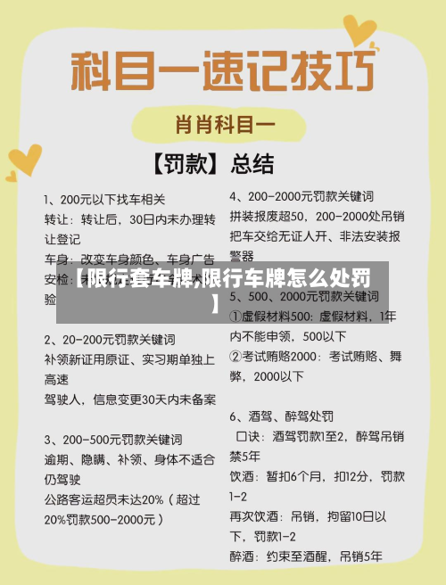 【限行套车牌,限行车牌怎么处罚】