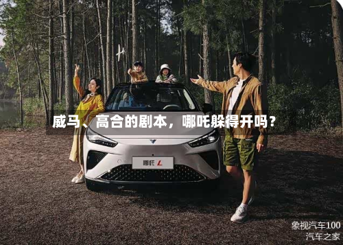 威马	、高合的剧本，哪吒躲得开吗？-第2张图片
