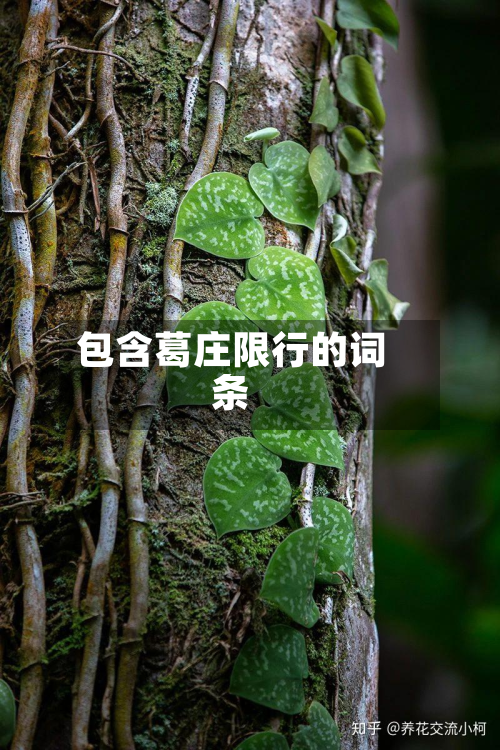 包含葛庄限行的词条